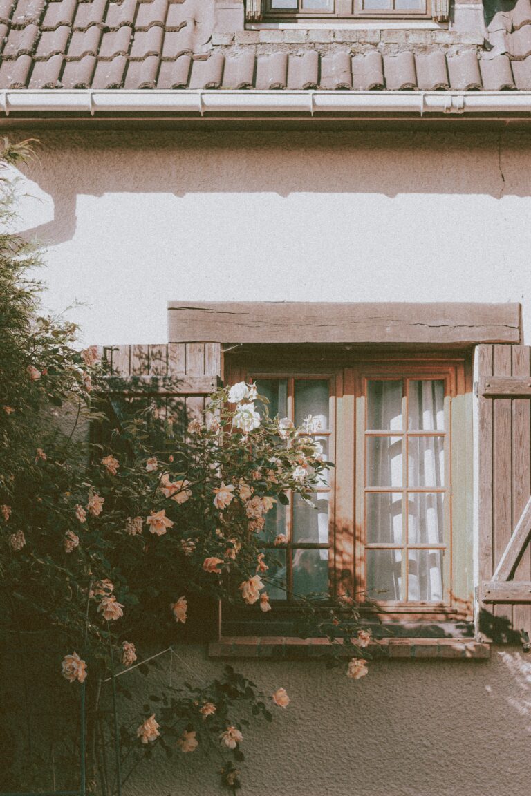 Northwest Dallas Unique Properties: A Gem Guide