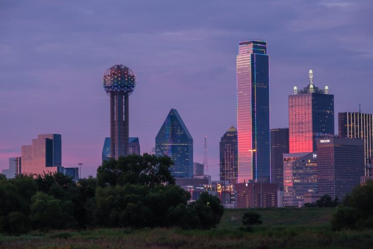 Dallas Relocation Specialist Insights Guide