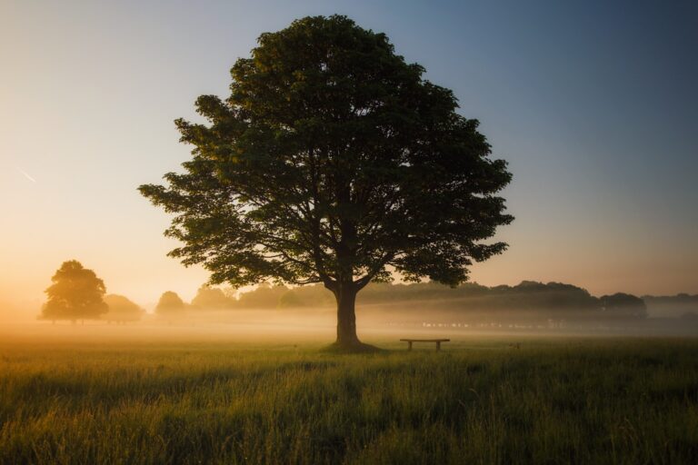 Bent Tree Dallas Real Estate: Your Dream Home Awaits