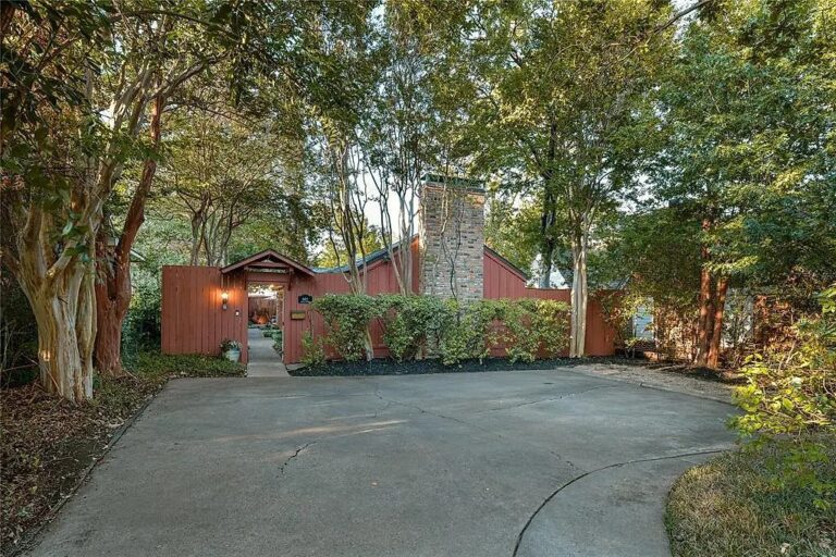 This is the image description